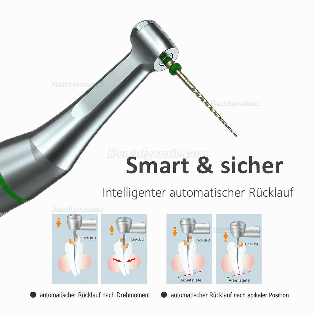 Yusendent COXO C-smart Mini AP 2 in 1 Motor de Endodontie mit Apexlokalisator